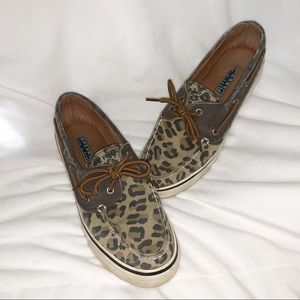 Cheetah Sperry